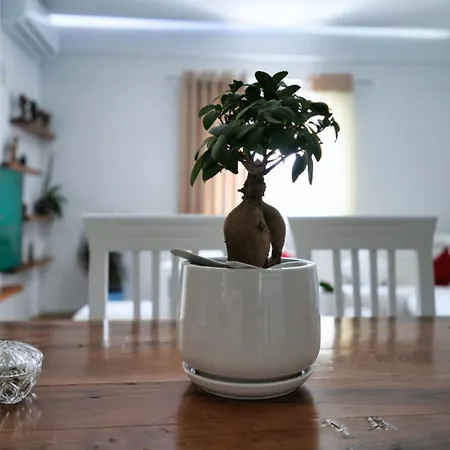 Eni's Apartmán